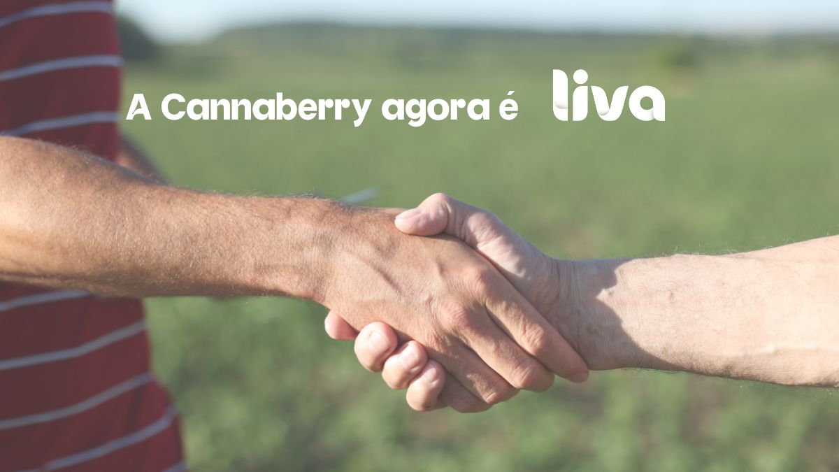 A Cannaberry agora é Liva: uma nova fase para fortalecer o cuidado com cannabis medicinal.