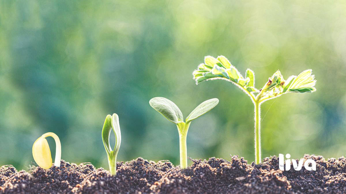 Uma nova fase com mais estrutura, mais conteúdo e mais suporte ao paciente.