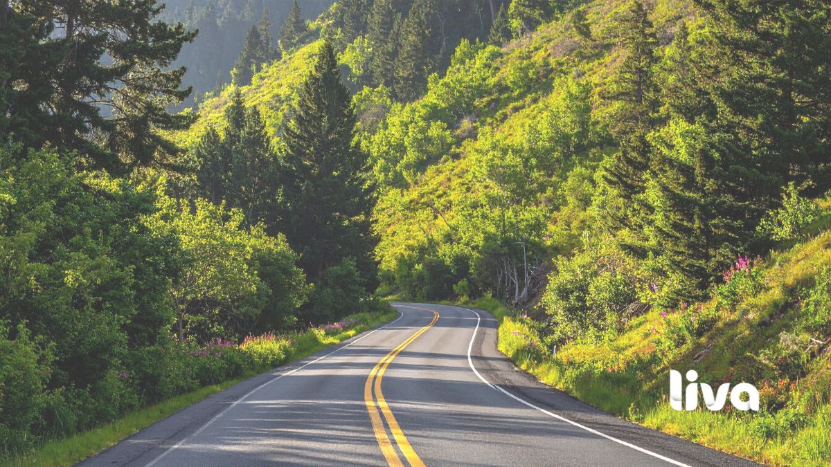 Tratamento é processo: passo a passo, com acompanhamento e responsabilidade.