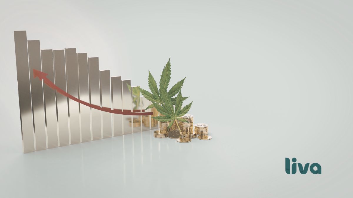 Crescimento do mercado de cannabis medicinal no Brasil representado por gráfico e moedas.