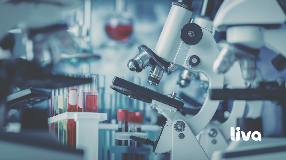 O avanço da regulamentação fortalece a pesquisa científica com cannabis no Brasil, ampliando a produção de evidências nacionais.