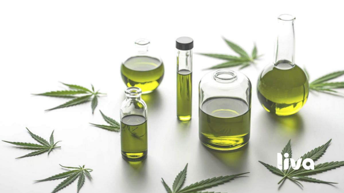 A qualidade e a rastreabilidade são pilares da regulamentação da cannabis medicinal no Brasil, garantindo segurança ao paciente.