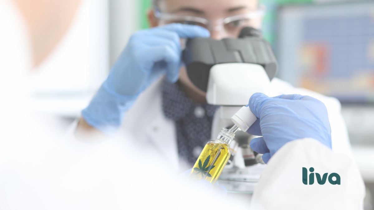 O regulatory sandbox permite testar inovações na cannabis medicinal sob supervisão sanitária, mantendo segurança e controle regulatório.