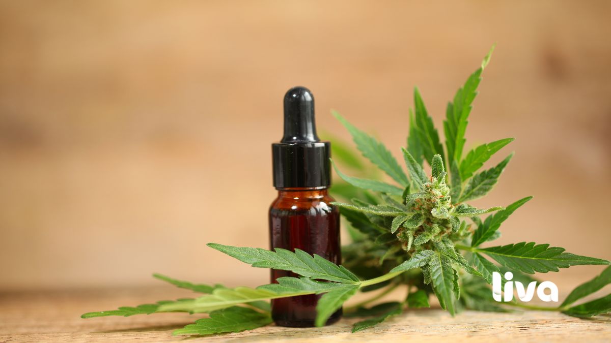 Frasco conta-gotas de óleo de cannabis medicinal ao lado de folhas da planta cannabis.