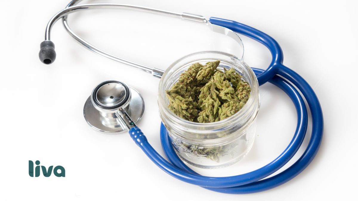 Estetoscópio ao lado de recipiente com flores de cannabis medicinal.